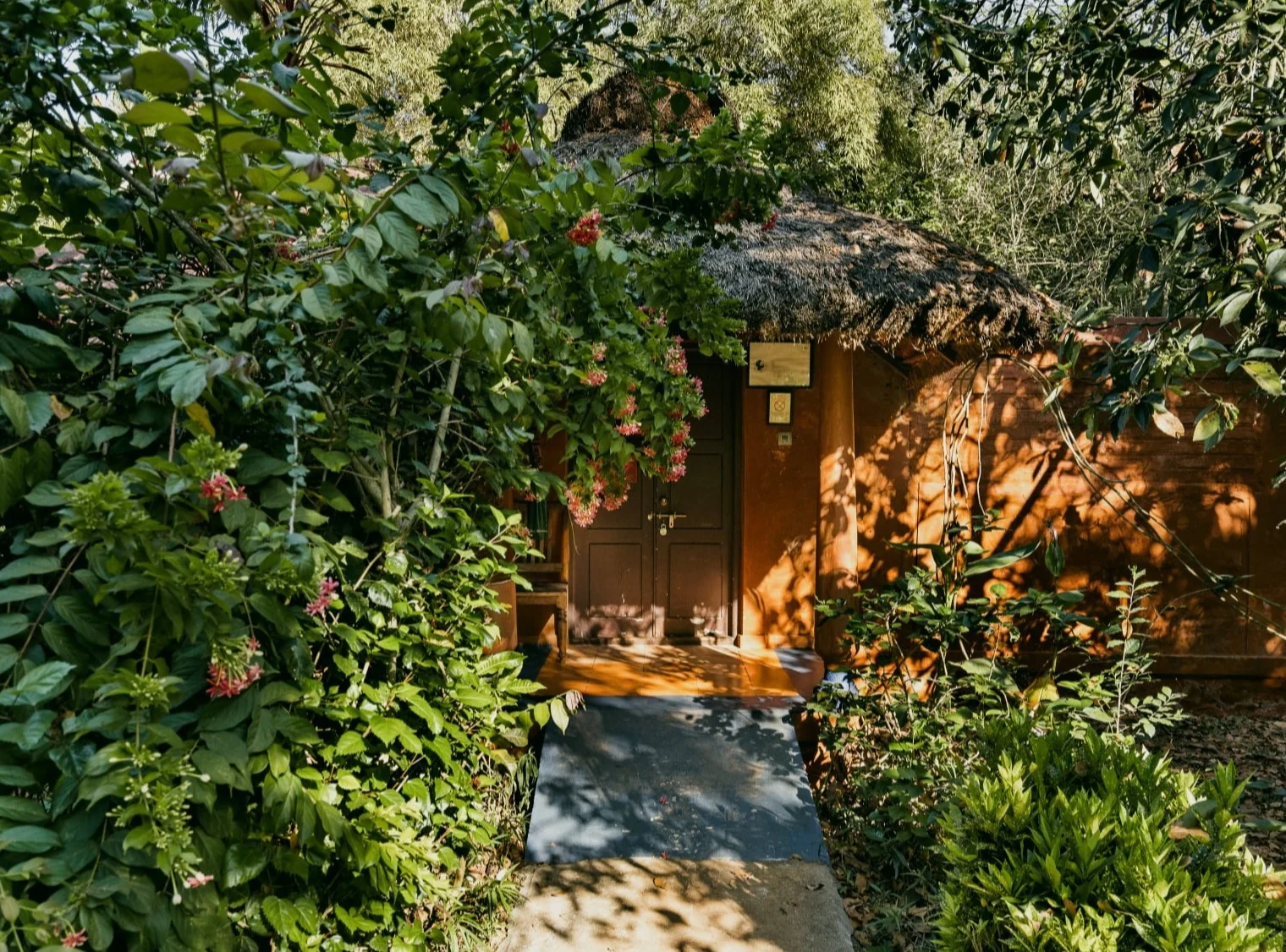 A cottage entrance nestled in tropical foliage
