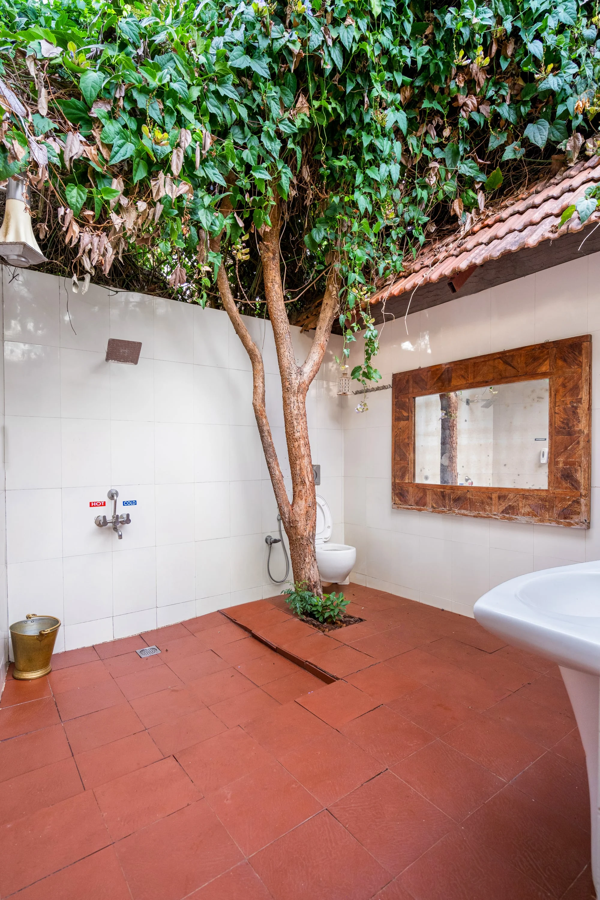 An open-air cottage courtyard with a tree and outdoor shower