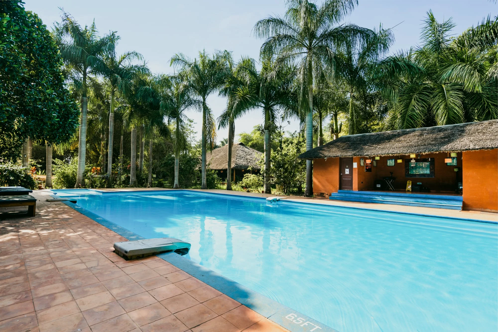 The Kabini swimming pool surrounded by palms and tropical gardens