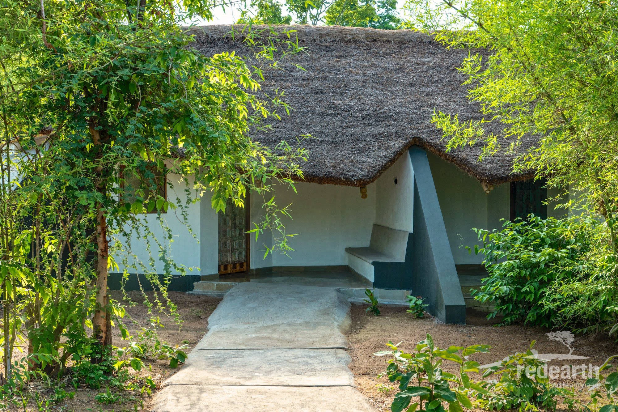 A lime-washed thatched cottage entrance framed by green bamboo