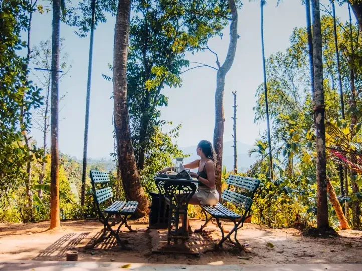 A guest pausing with a book among tall trees