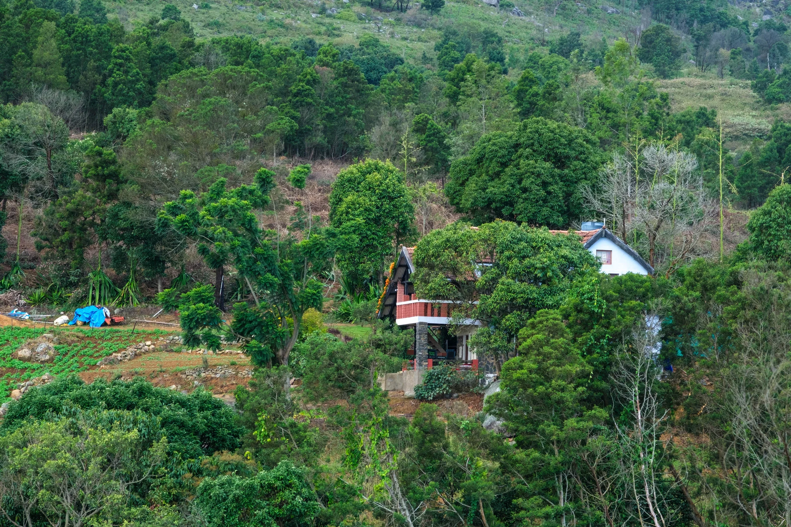 Hullathy bungalow nestled among dense green trees on the hillside