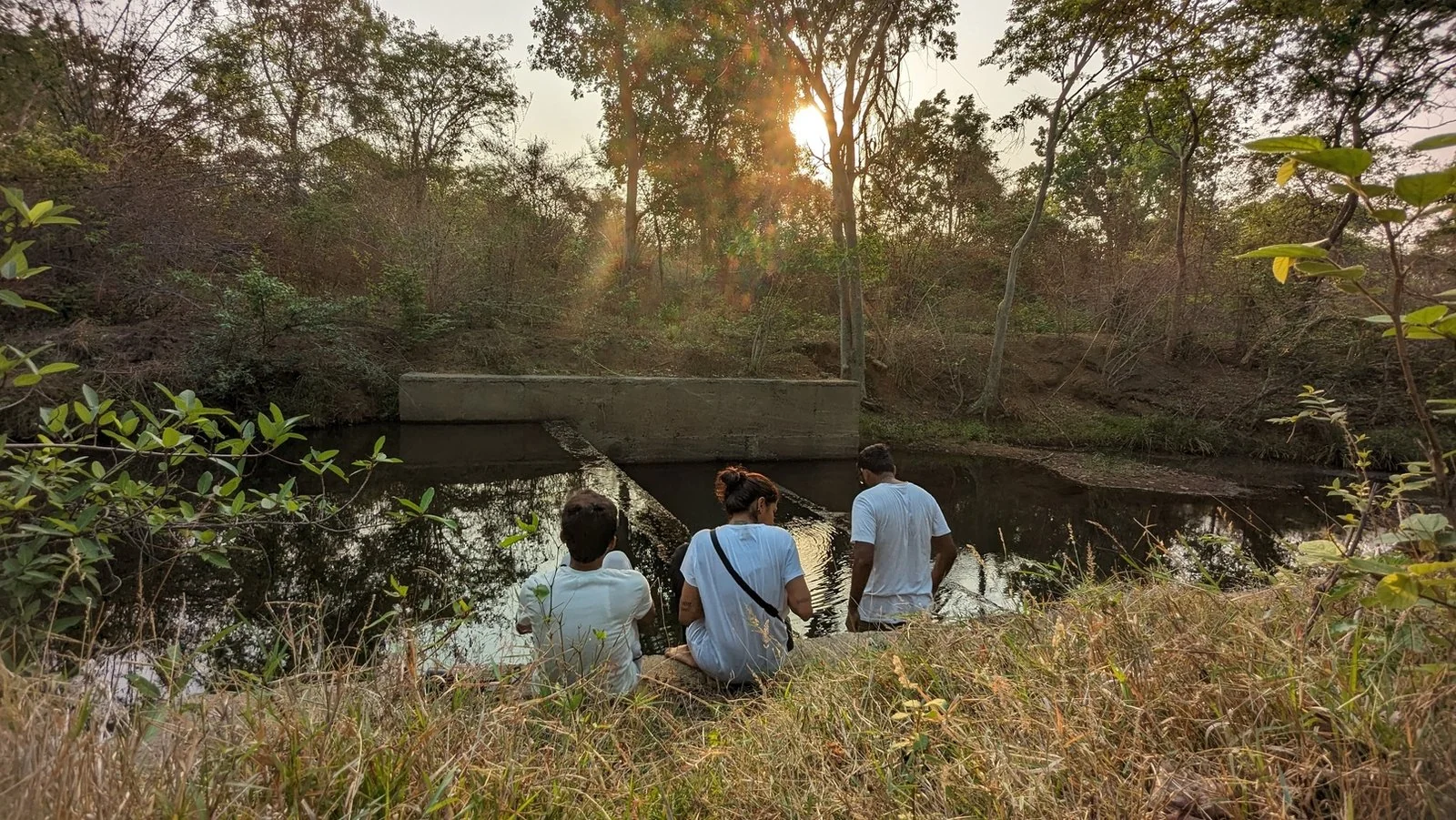 Guests sitting beside a forest pond in the warm light of evening