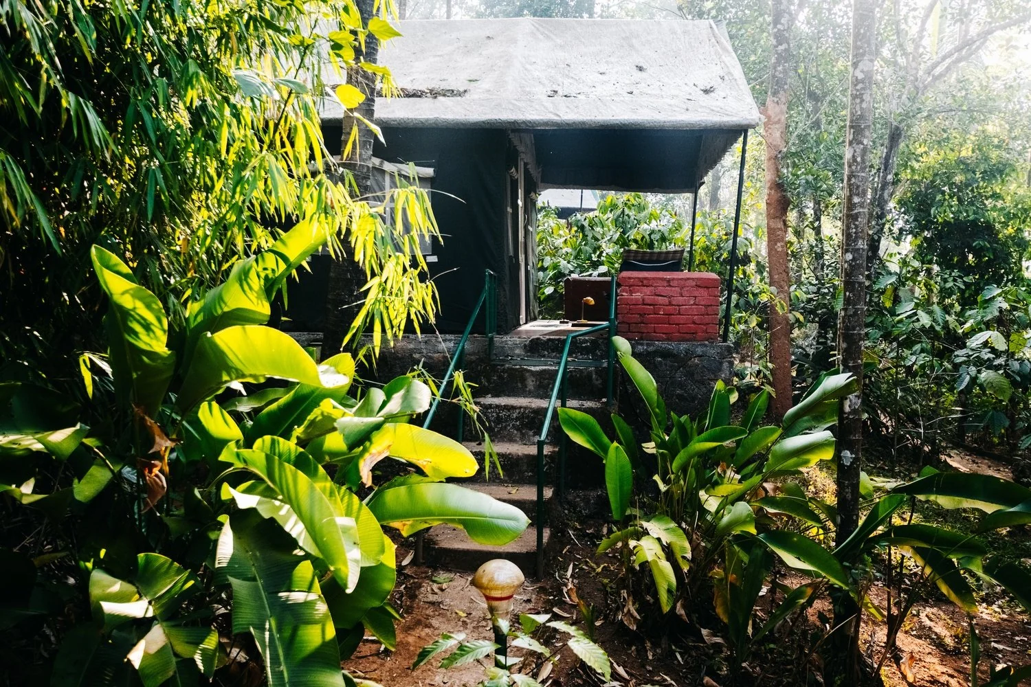 A canvas-roofed glamping cabin on stilts among banana leaves and bamboo