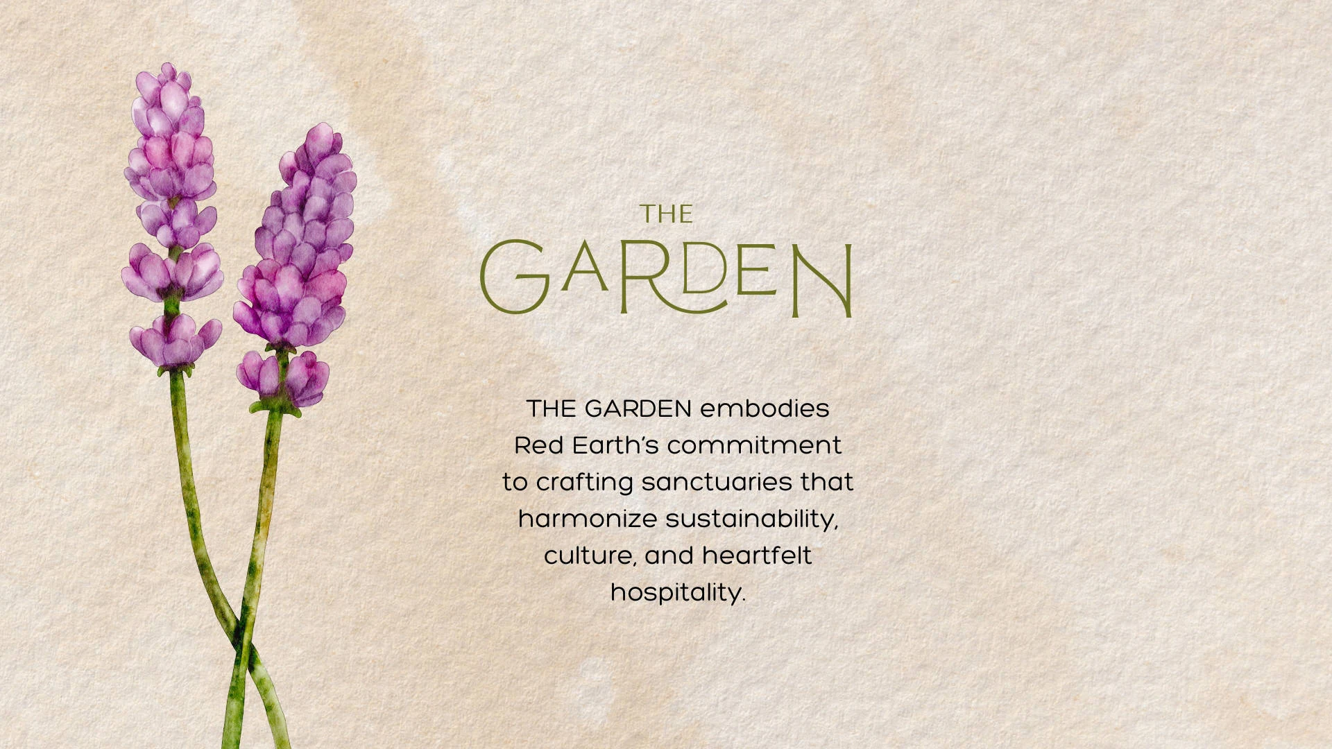 The Garden of Red Earth with layered planting and pathways