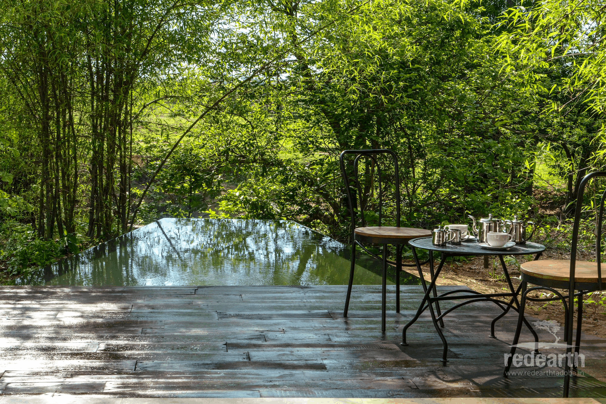 A breakfast table set on a polished deck at the forest edge