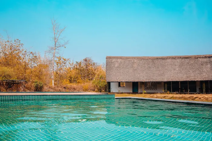 The long swimming pool beside the thatched Tadoba lodge