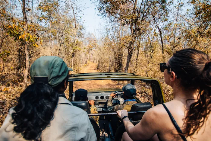 Guests setting out by jeep for a forest drive