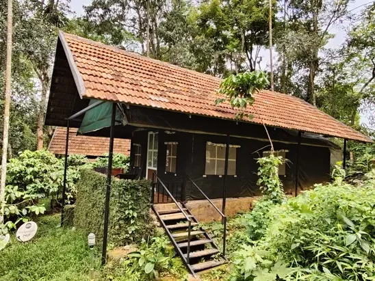 A timber cottage raised above the forest garden