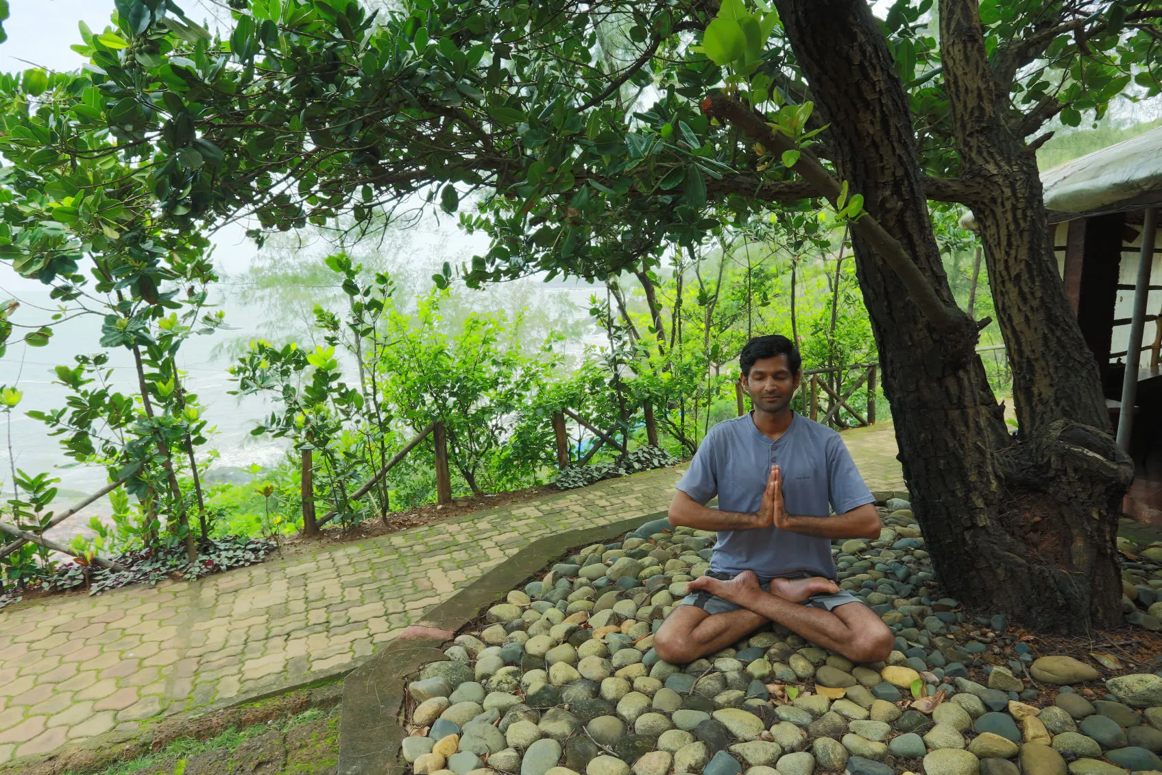 Forest Bathing
