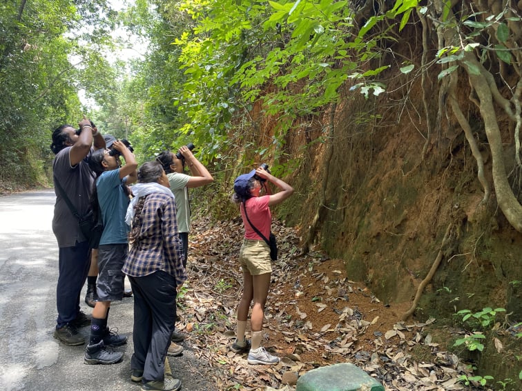 Nature walk in resort in gokarna