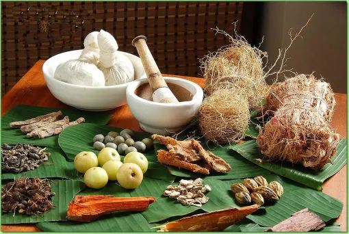 SPA Therapies