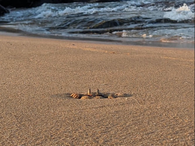 beach near resort in gokarna