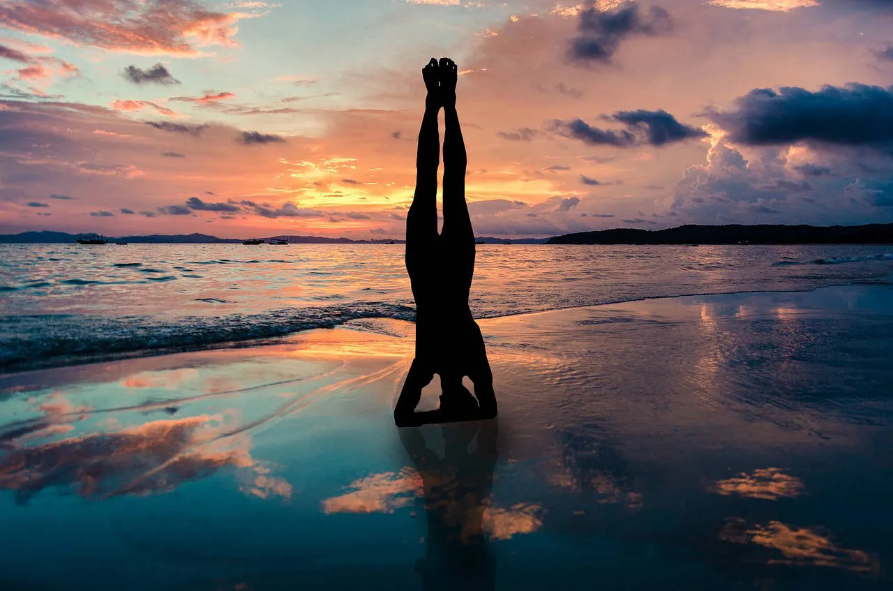 Yoga Teacher Training Course (TTC)