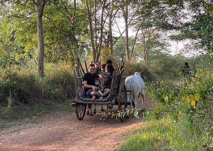 Bullock cart ride in kabini